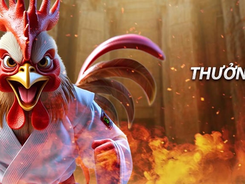 Bước 2: Tải file APK