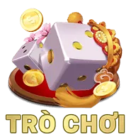Vấn đề tài chính nghiêm trọng