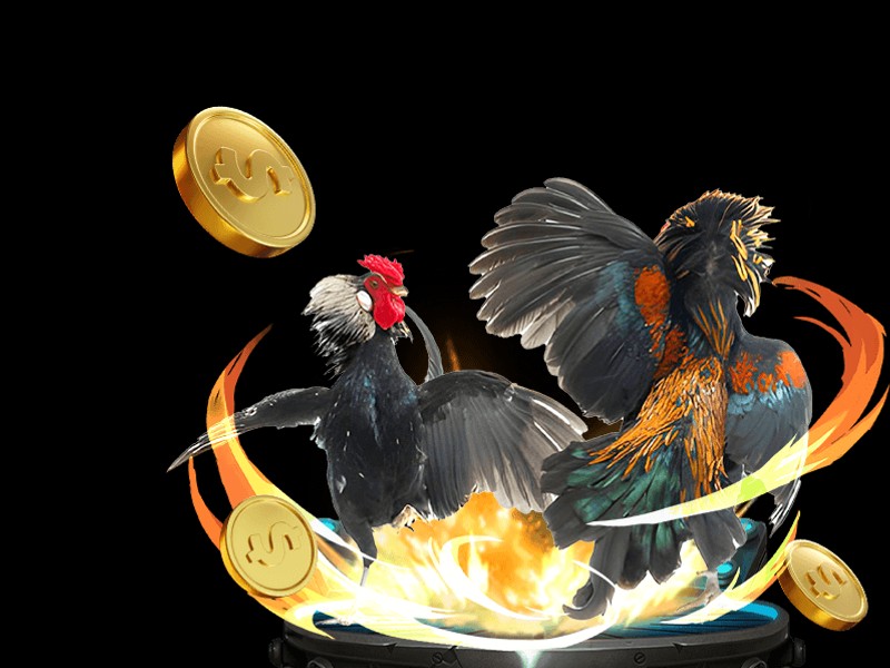 Hình ảnh chương trình VIP của Winclub